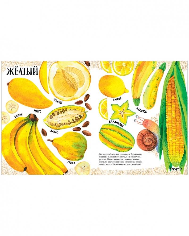 Приключения улитки Элли в мире фруктов и овощей фото книги 5