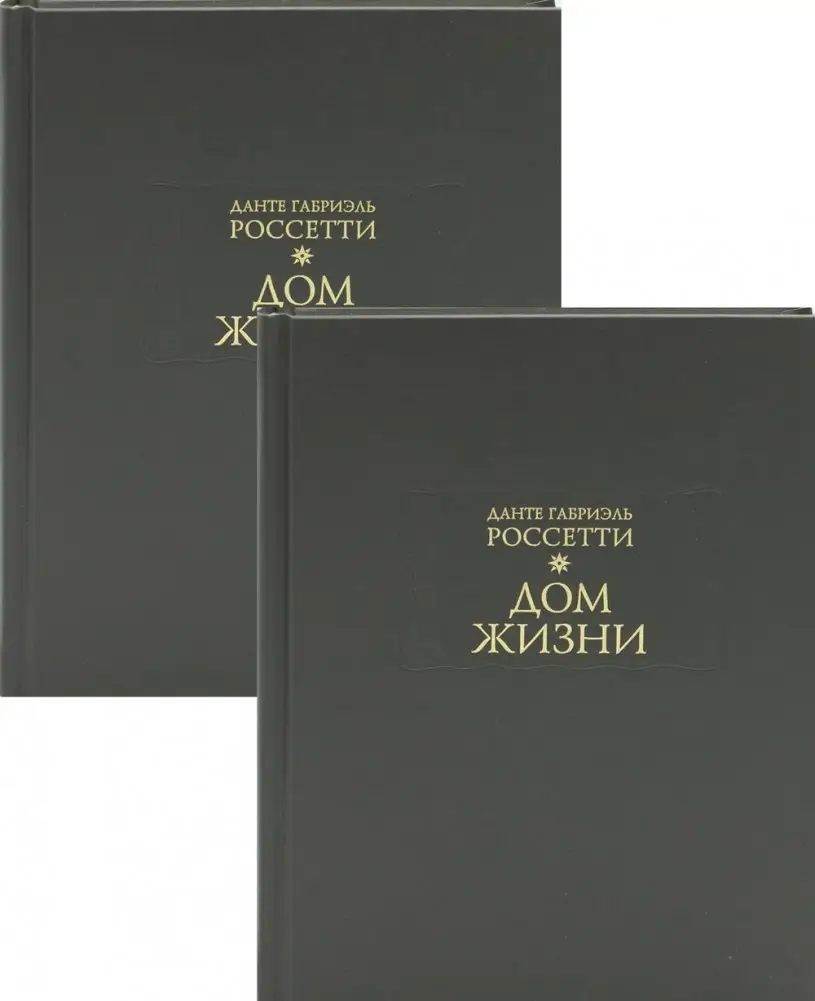 Дом жизни. В 2-х книгах (количество томов: 2) фото книги