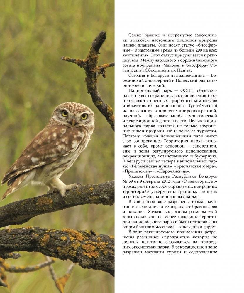 Национальные парки ― жемчужины Беларуси. Нацыянальныя паркі ― жамчужыны Беларусі. National parks ― pearls of Belarus фото книги 5