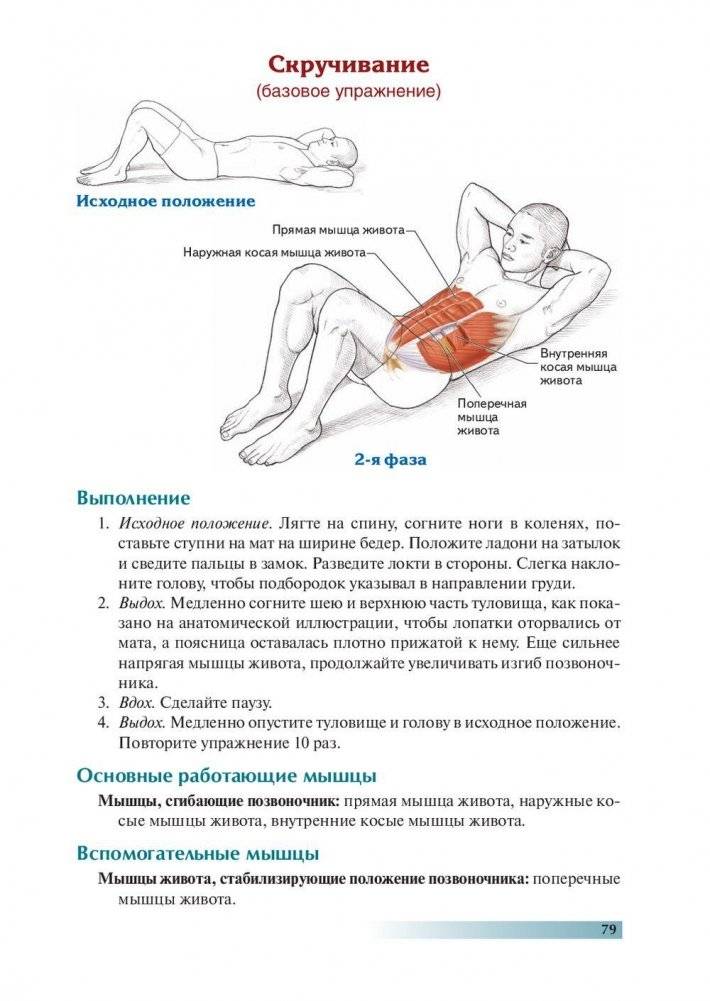 Анатомия пилатеса фото книги 11