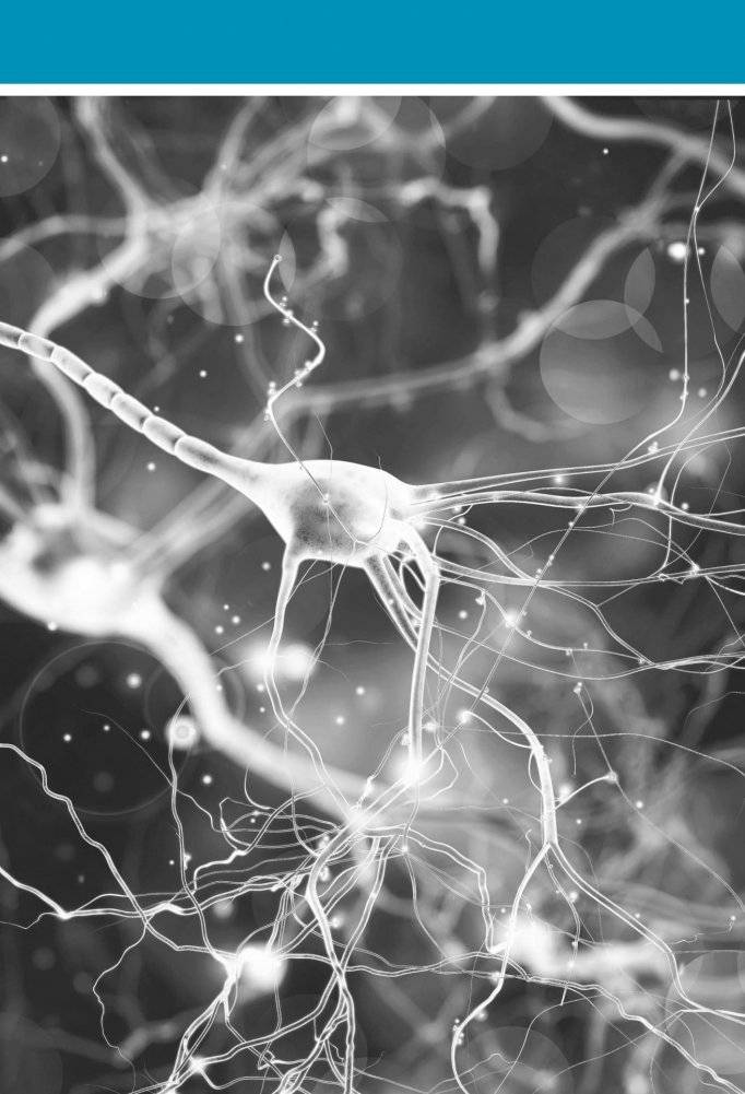 Настройка системы тело—мозг. Простые упражнения для активации блуждающего нерва против депрессии, стресса, болей в теле и проблем с пищеварением фото книги 6