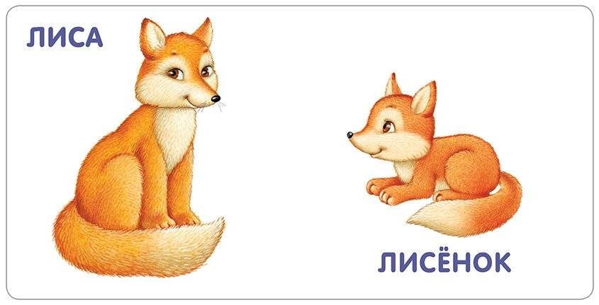 Книжки - картонки. Животные и детёныши фото книги 3