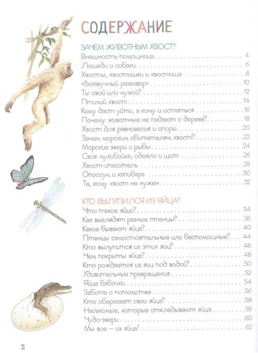Удивительный мир животных. Энциклопедия для малышей фото книги 2