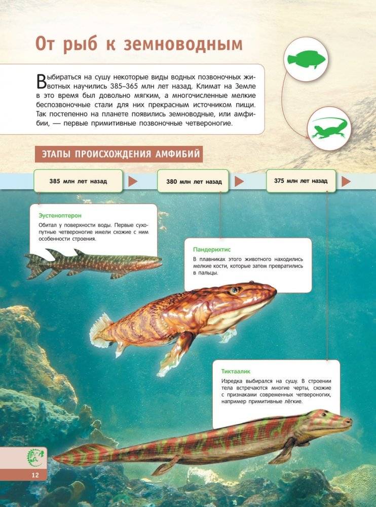 Тайны динозавров. Самая невероятная энциклопедия фото книги 13