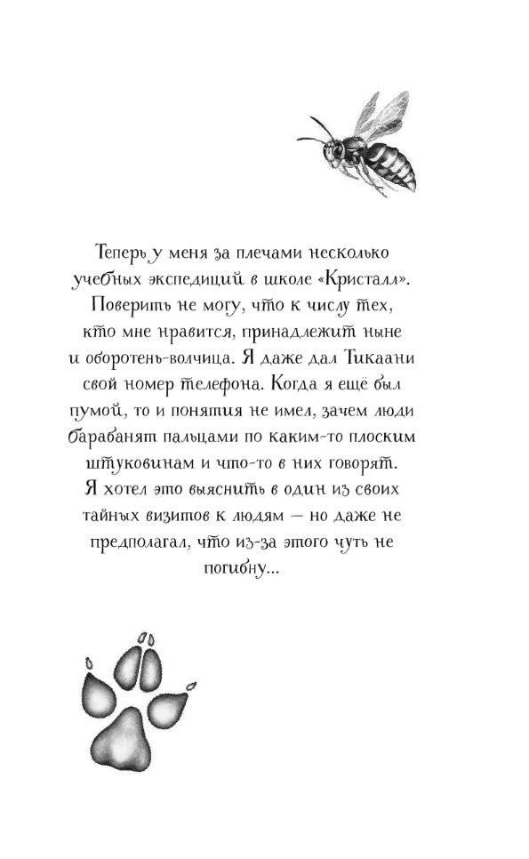 Тайна Холли фото книги 5