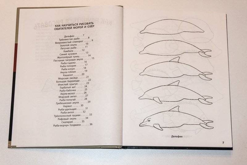 Рисование. Первые шаги фото книги 4