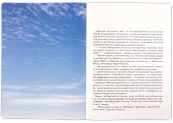 Встреча невдалеке от неба фото книги 2