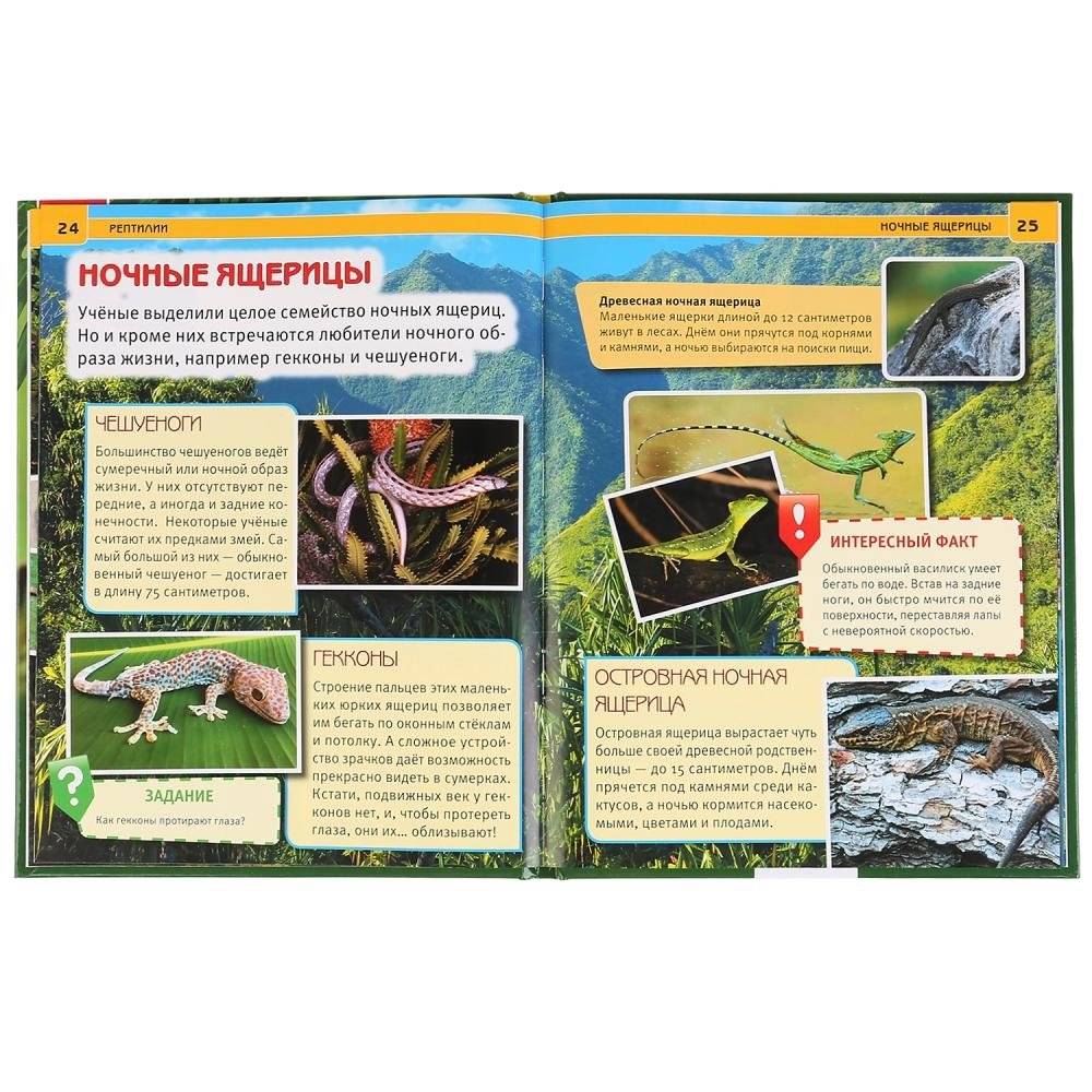 Рептилии. Энциклопедия фото книги 3