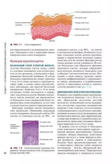 Косметическая дерматология. Принципы и практика. Руководство фото книги 3