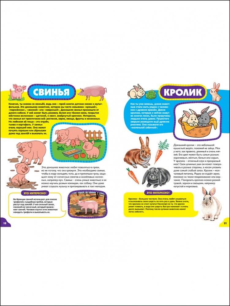 Животные для малышей. Первая энциклопедия для самых маленьких фото книги 3