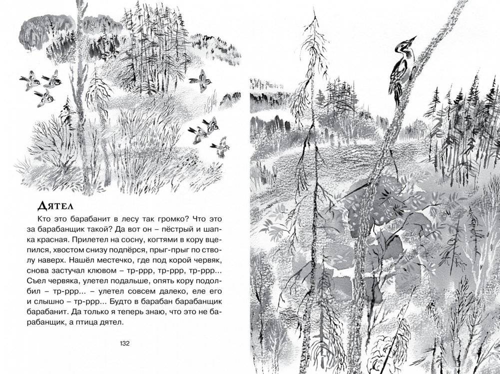 Друзья фото книги 4