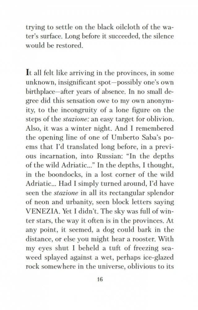 Набережная Неисцелимых. Watermark (билингва) фото книги 17