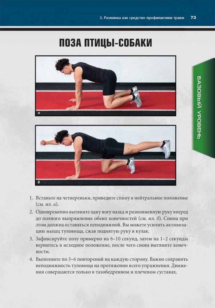 Анатомия скорости фото книги 11