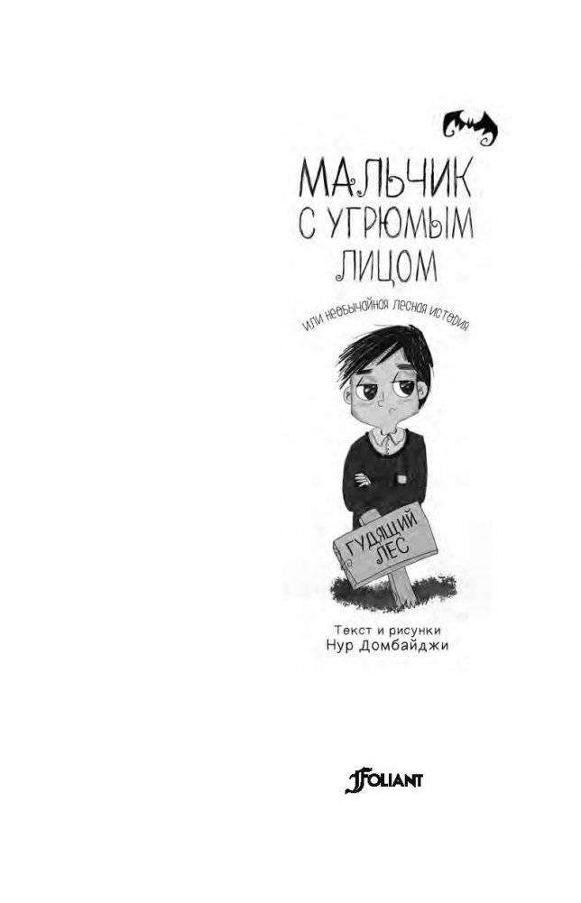 Мальчик с угрюмым лицом, или необычайная лесная история фото книги 3