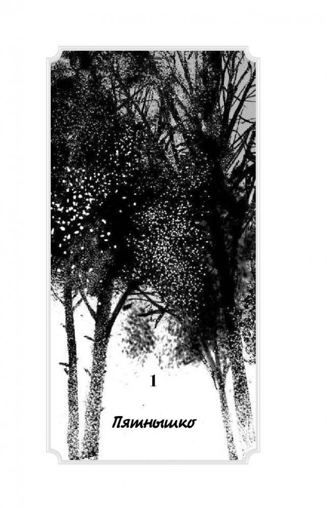 Дерево с секретом фото книги 11