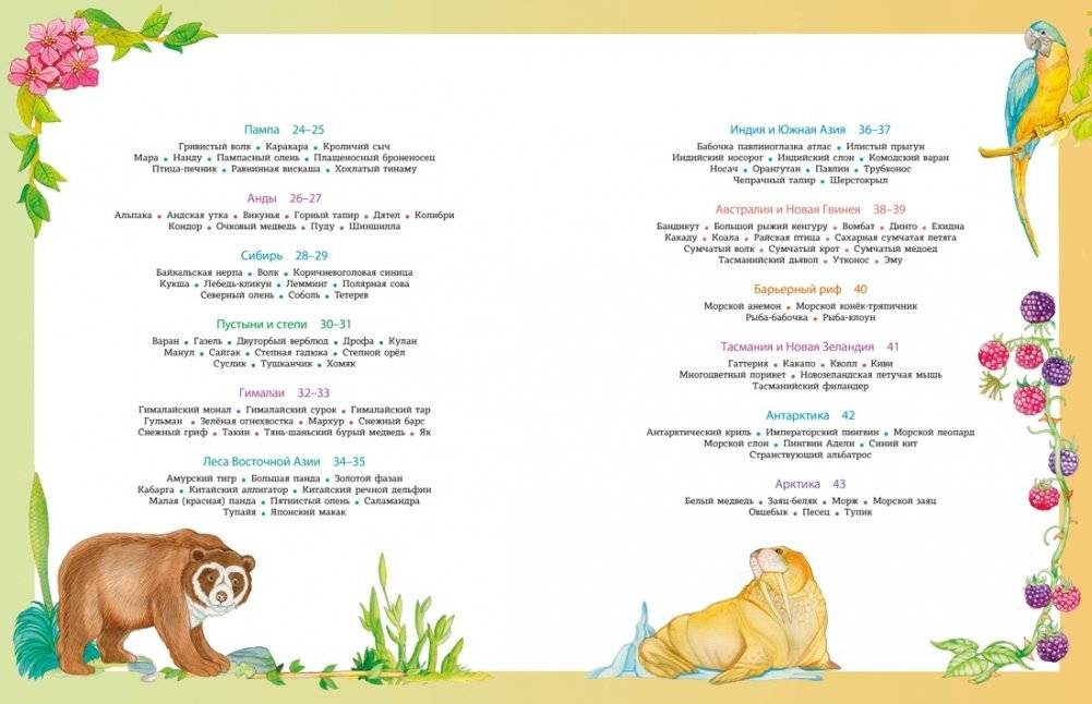 Атлас животных в картинках. Путешествие вокруг света фото книги 3