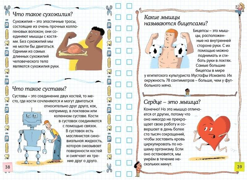 Тело человека фото книги 4