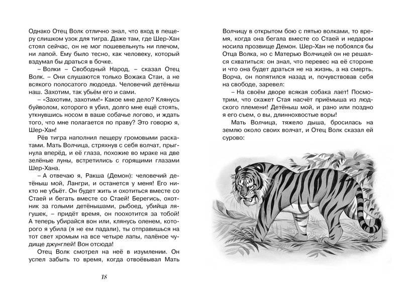 Маугли фото книги 6