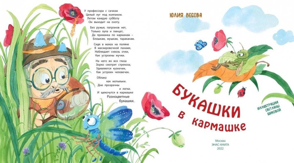 Букашки в кармашке фото книги 2