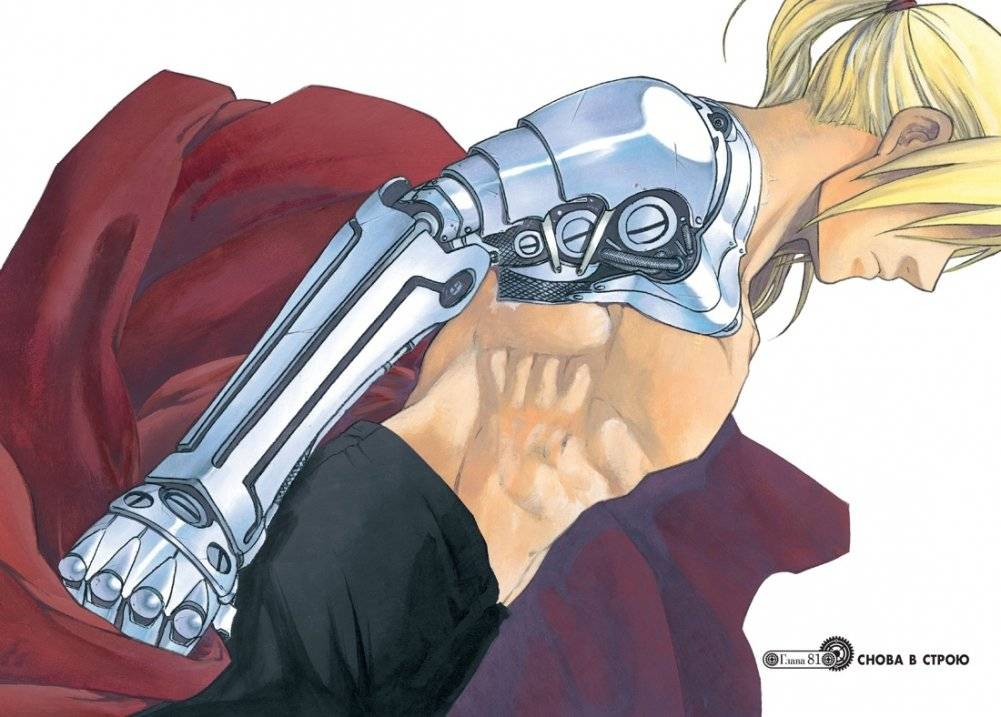 Стальной Алхимик. Книга 14 фото книги 5