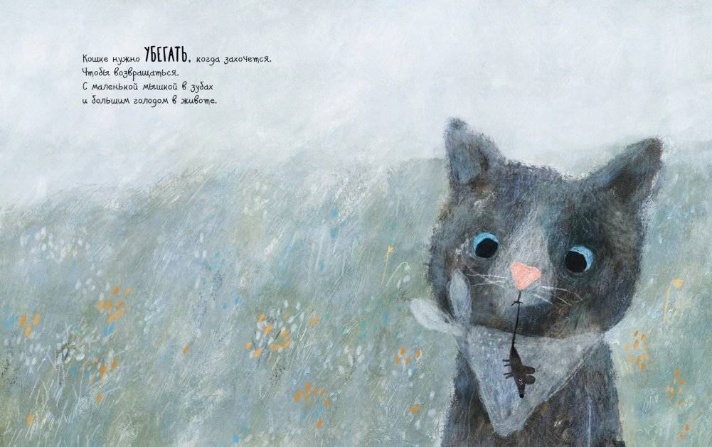 Что нужно маленькой кошке фото книги 4