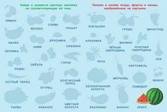 Ягоды, фрукты и овощи фото книги 2