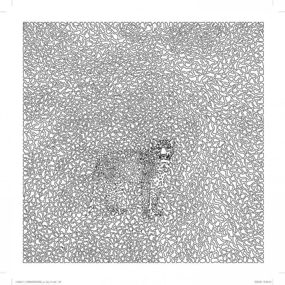 The Hidden Creatures Coloring Book фото книги 4