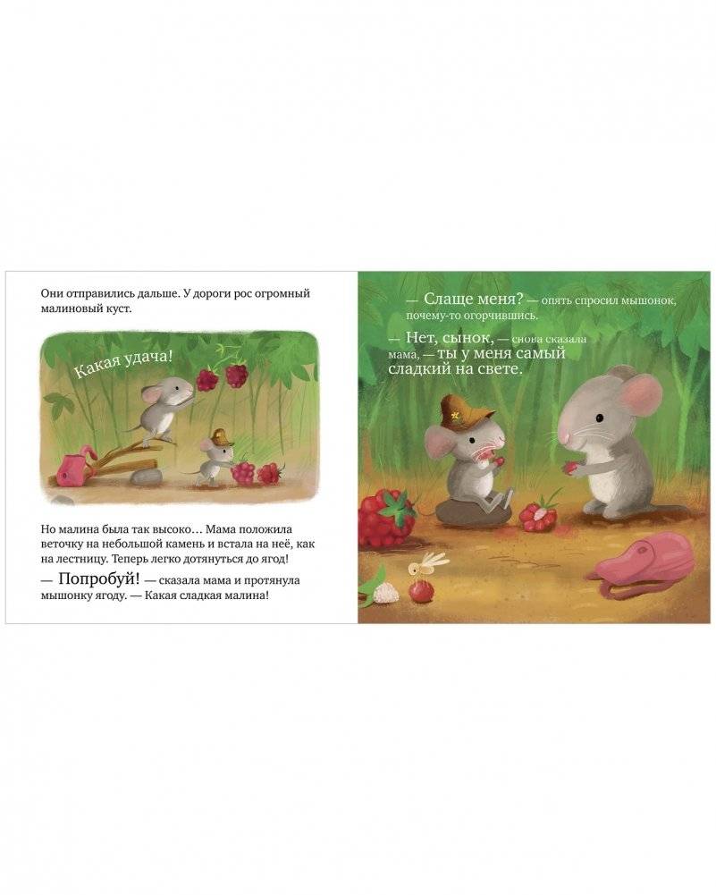 Самый лучший мышонок на свете фото книги 2