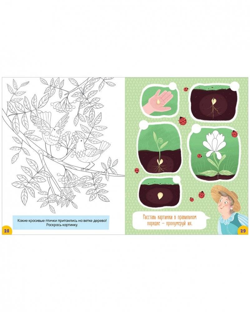 Clever-активити. Большая книжка игр и заданий. В деревне фото книги 7