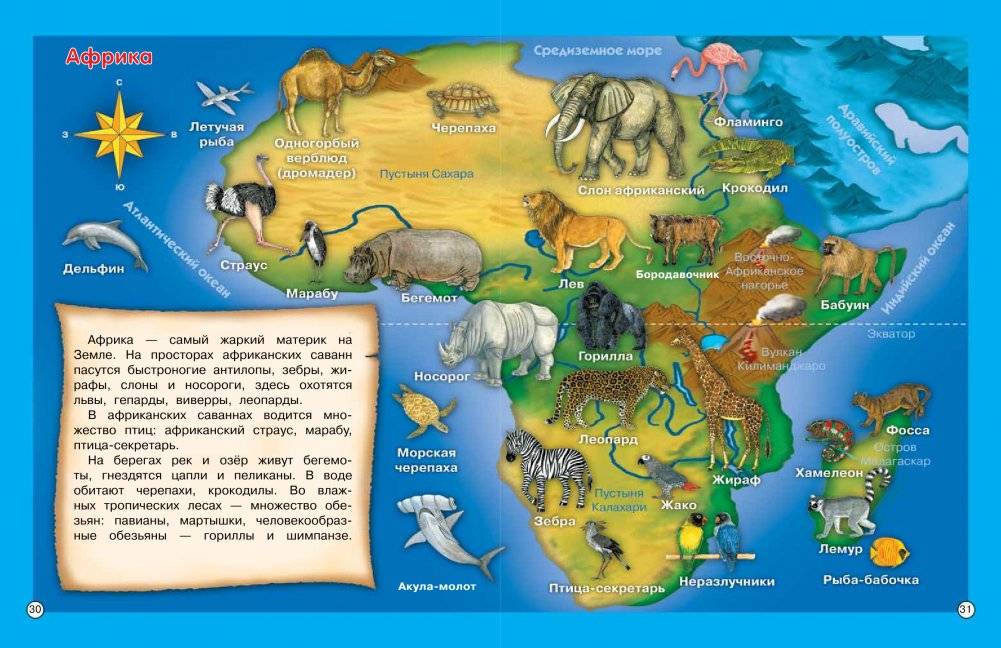 Все-все животные фото книги 5