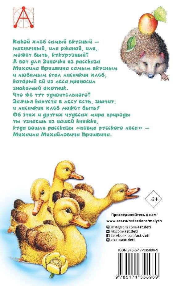 Лисичкин хлеб фото книги 2