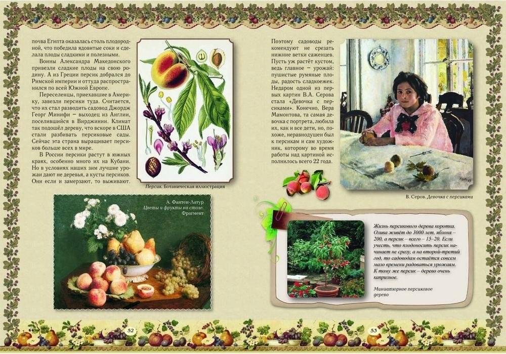 Прогулки по саду фото книги 5