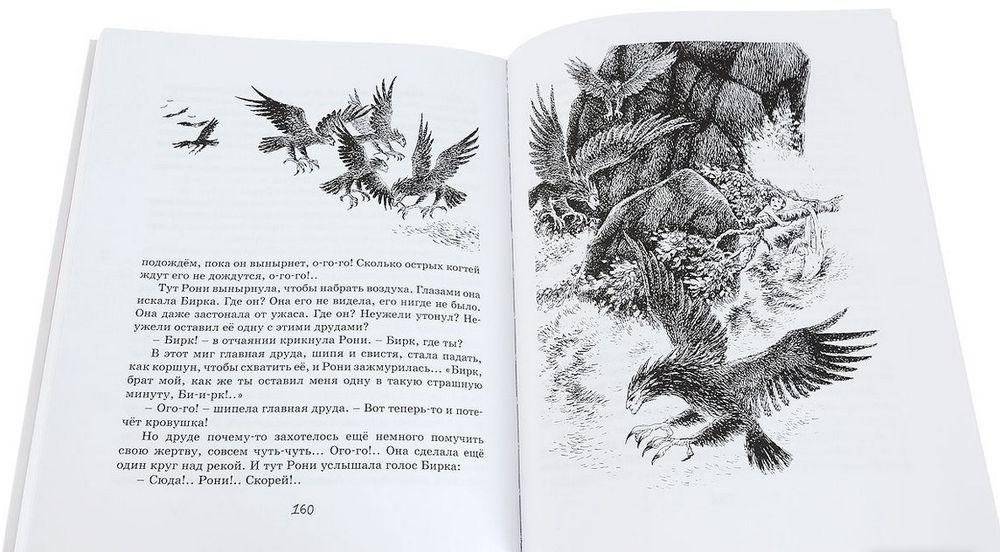 Рони, дочь разбойника фото книги 3