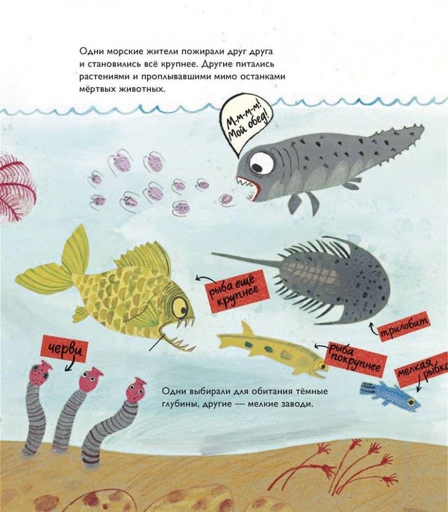 История жизни. Моя первая книга об эволюции фото книги 10