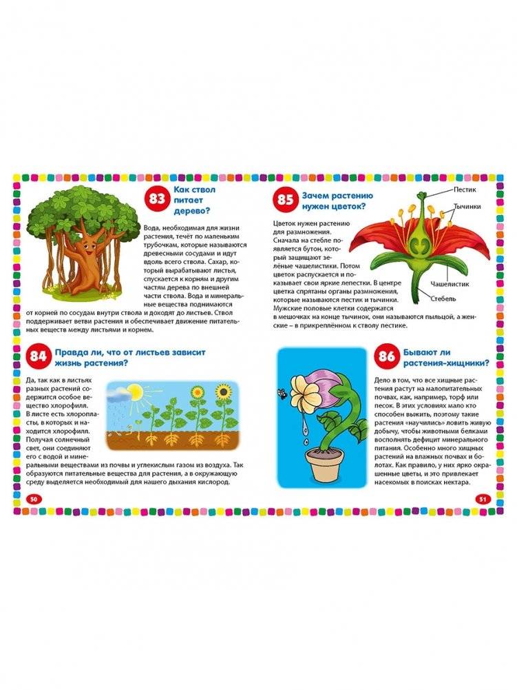 Детская энциклопедия для почемучек. Новые 111 ответов на вопросы обо всем на свете фото книги 10