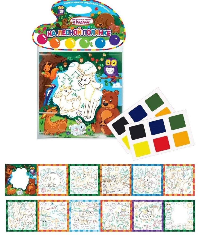 На лесной полянке. Книжка-гармошка (акварельные краски в подарок) фото книги 2