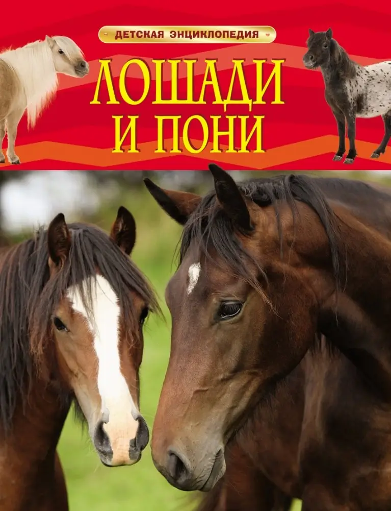 Лошади и пони фото книги
