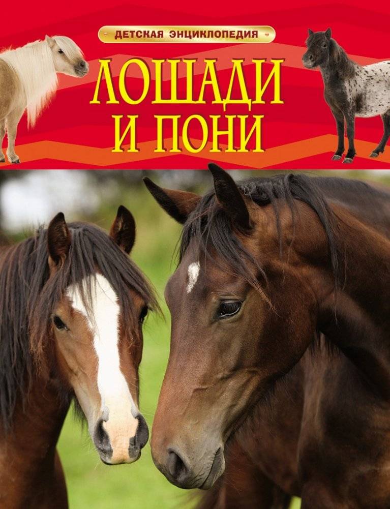 Лошади и пони фото книги
