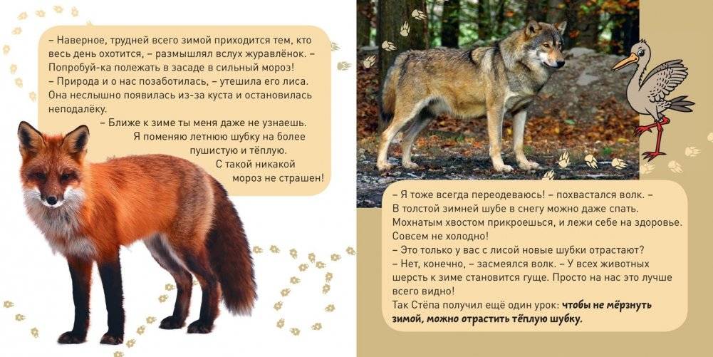 Кто как зимует? фото книги 5
