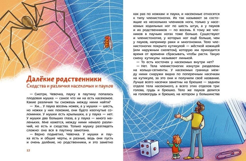 Насекомые и пауки. Детская энциклопедия (Чевостик) фото книги 2