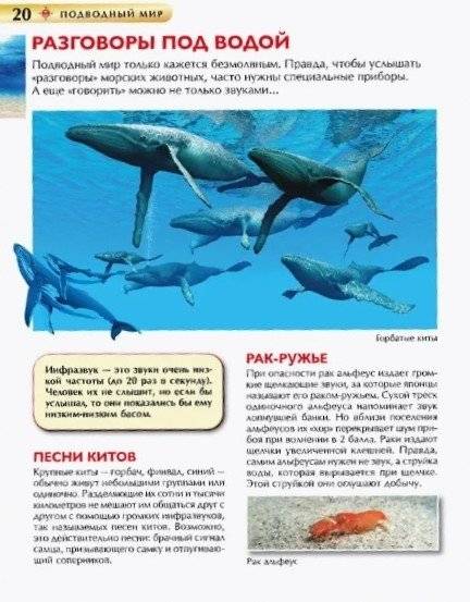 Подводный мир. Детская энциклопедия фото книги 2