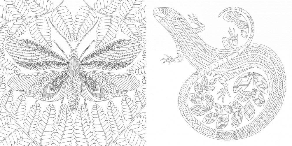 Божественные создания. Золотая коллекция любимых иллюстраций фото книги 3