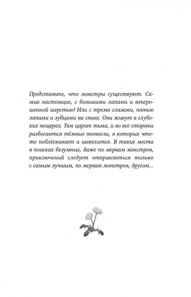 Невидимое озеро (#2) фото книги 6
