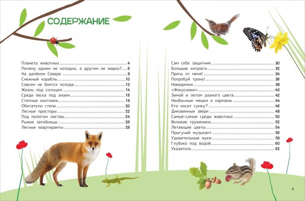 Животные. Энциклопедия для первого чтения с крупными буквами фото книги 2