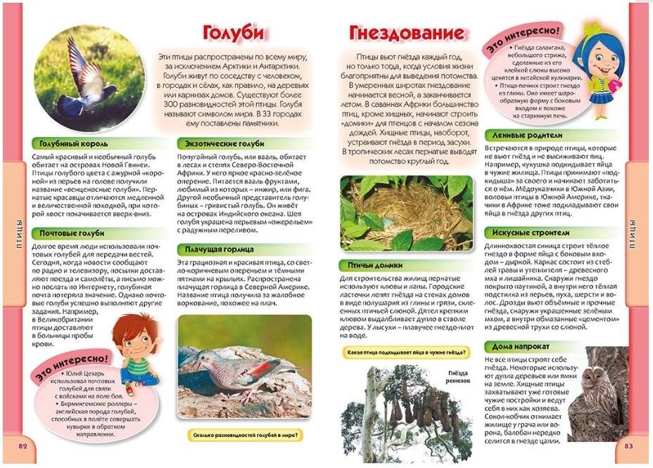 Детская энциклопедия в вопросах и ответах фото книги 5