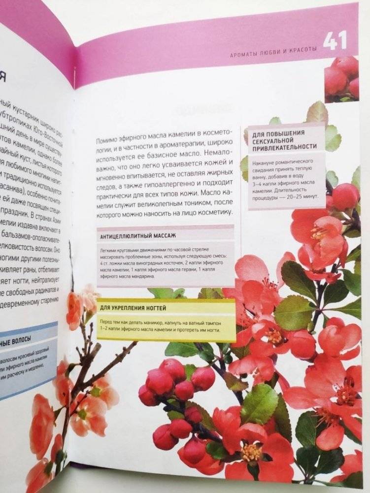 Ароматерапия для начинающих. Сила бодрящих запахов фото книги 4