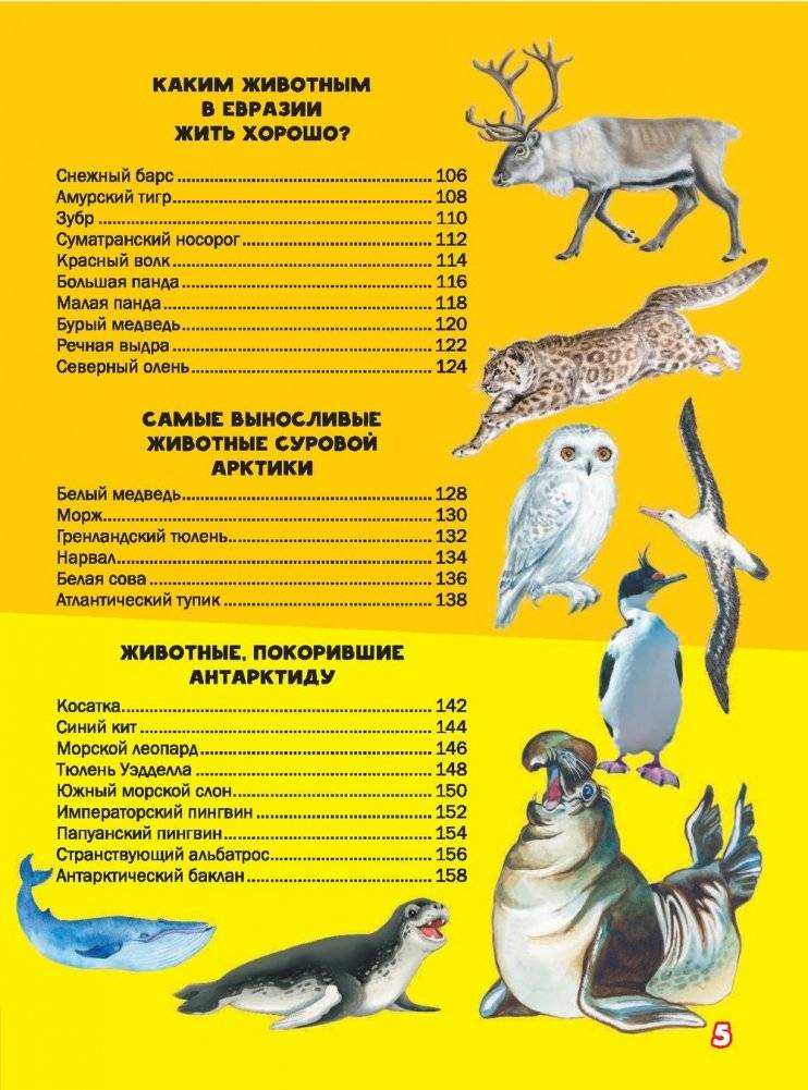 Моя первая большая книга о животных фото книги 13