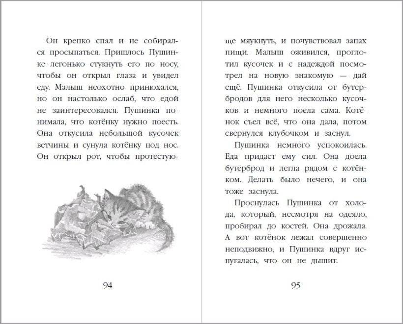 Котёнок Снежинка, или Зимнее волшебство фото книги 5