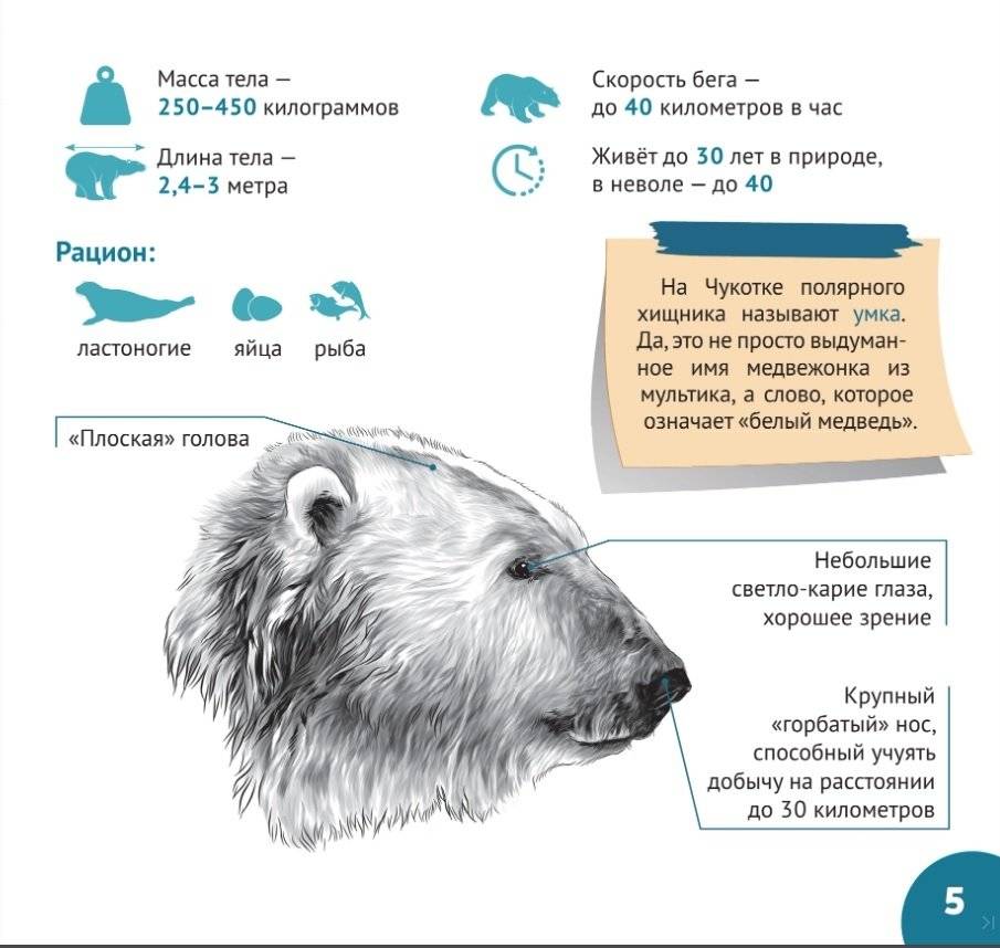 За полярным кругом. Серия "Планета животных" фото книги 4
