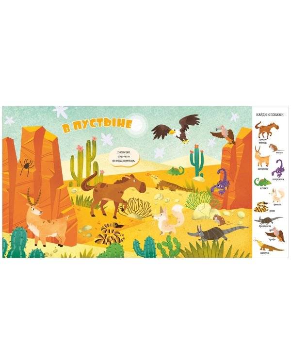 Найди и покажи, малыш! Животные фото книги 3